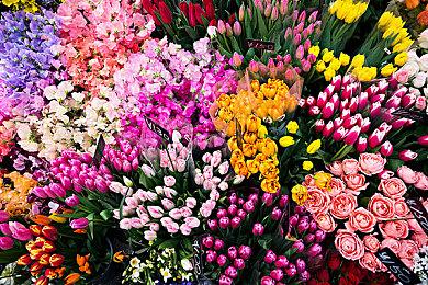 《极限竞速：地平线5》风火轮DLC全貌地图公开